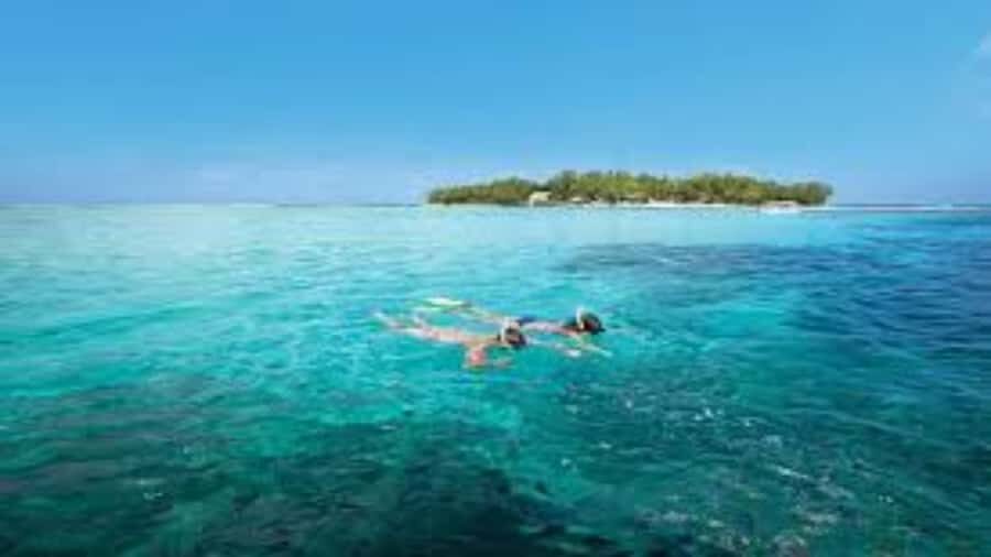 Mahebourg: L'île des Deux Cocos Island Boat Tour with Lunch - Blue Bay Marine National Park time: swimming and snorkeling, with realistic expectations