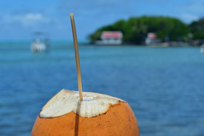 Mahebourg Village Food Tour - Key highlights worth planning for