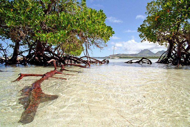 Marvelous Ile aux Cerf island: Speed Boat, Parasailing, Lunch & GRSE waterfall - Key highlights to know before you go