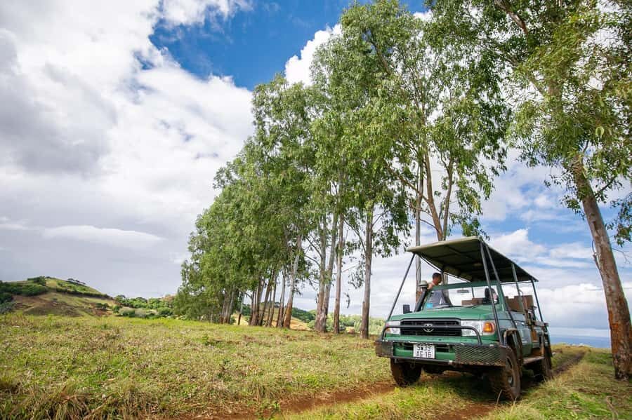 Mauritius 4x4 safari adventure with pick up - A 2-hour 4x4 safari that actually fits your schedule
