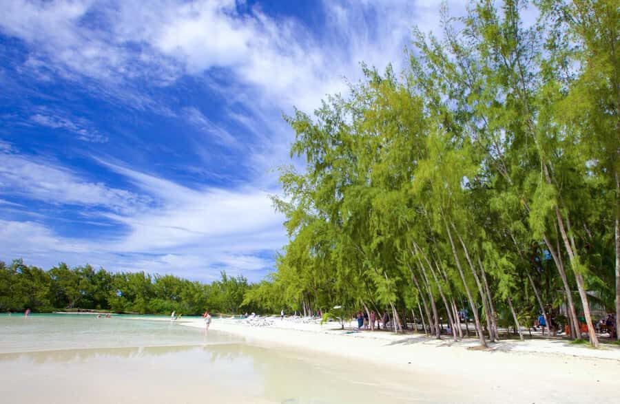 Mauritius: 5 East Coast Islands Tour with Snorkeling & Lunch - Grande River South East Waterfall: The Longest River Meets the Sea