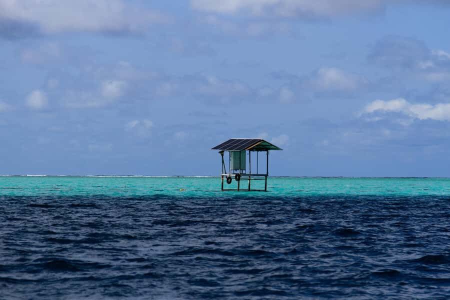 Mauritius 5 Islands Hopping Tours - PRIVATE BOAT - Ile aux Aigrettes: quick sightseeing plus a guided look