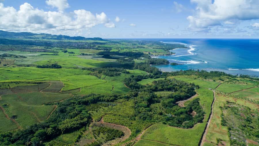 Mauritius: Bel Ombre Nature Reserve Quad Bike Tour - Key things you’ll notice on this quad tour