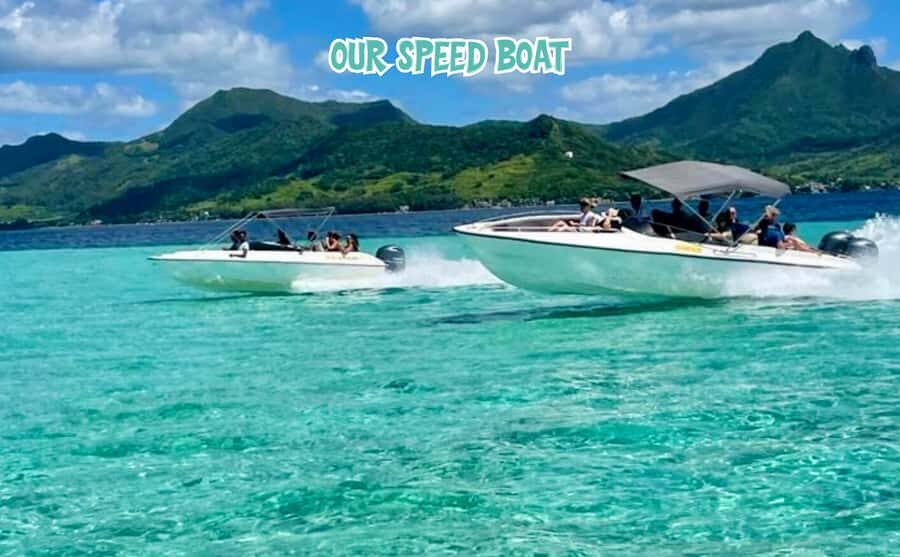 Mauritius: Benitier Island - Swim Dolphins - Speedboat & BBQ - Why this west-coast dolphin-and-reef day feels worth it