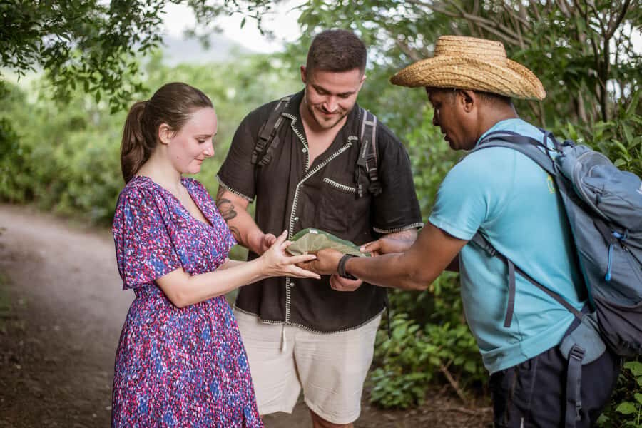 Mauritius: Exclusive Le Morne Sunset Hike & Aperitivo - The sunset moment: timing, atmosphere, and why private works
