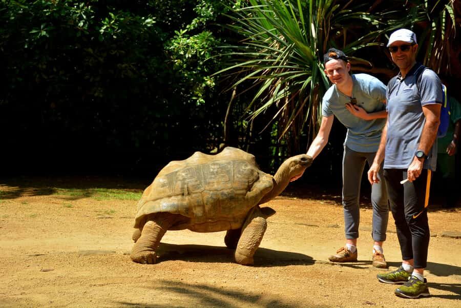 Mauritius: Full-Day Quad Bike Tour with Lunch - Key highlights worth your time
