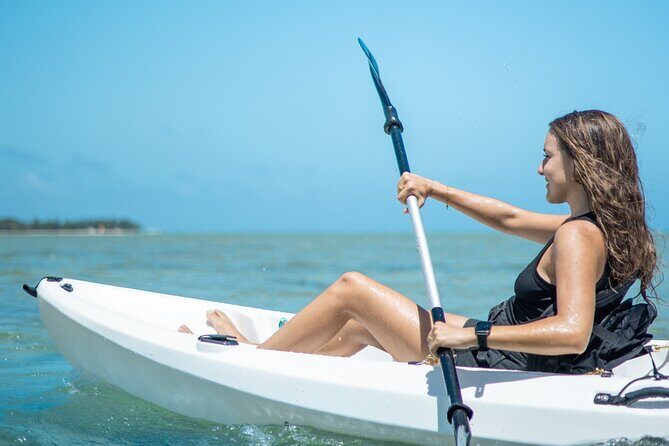 Mauritius Guided Kayak Experience to Benitiers Island - Who This Kayak Tour Suits Best (and Who Might Skip It)
