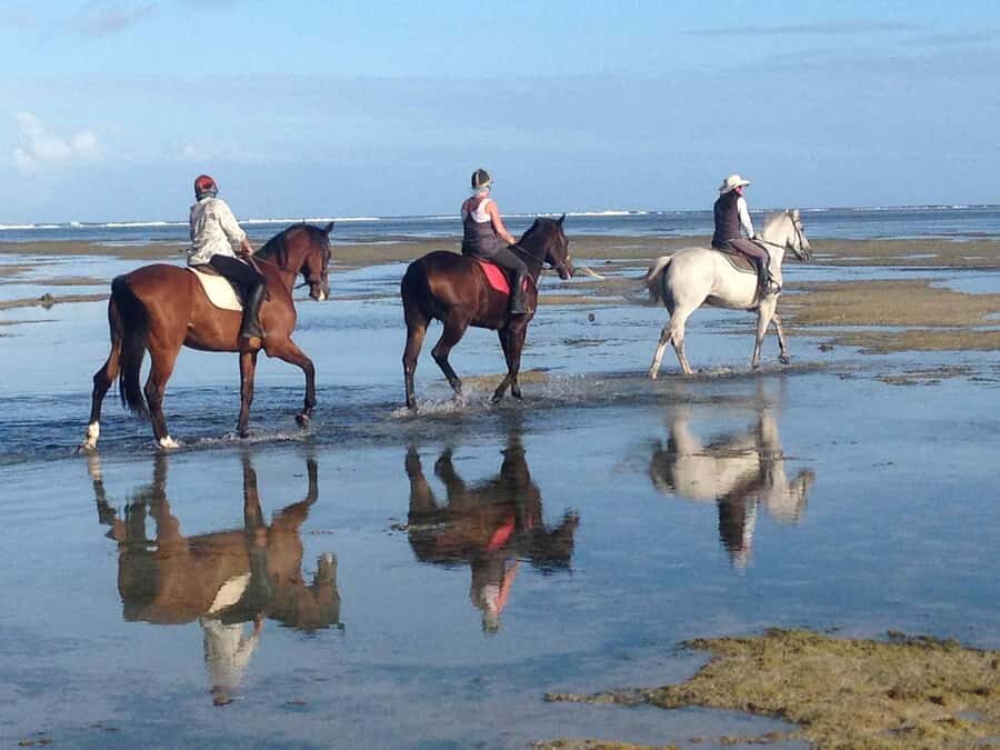 Mauritius: Horse riding on the deserted beach of Riambel - Key things I’d care about before you book