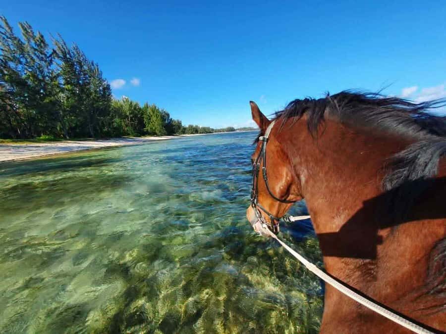 Mauritius: Horse riding on the deserted beach of Riambel - Sunset Rides: Why the Timing Changes the Whole Feeling