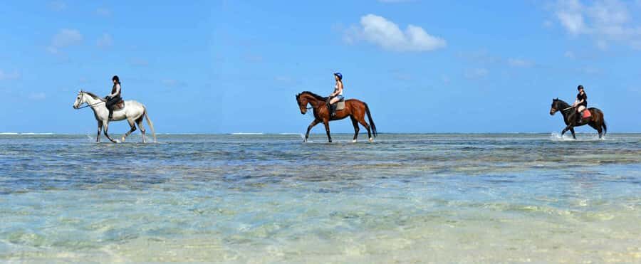 Mauritius: Horse riding on the deserted beach of Riambel - Price in Mauritius: Is $117 Good Value for 1 Hour?