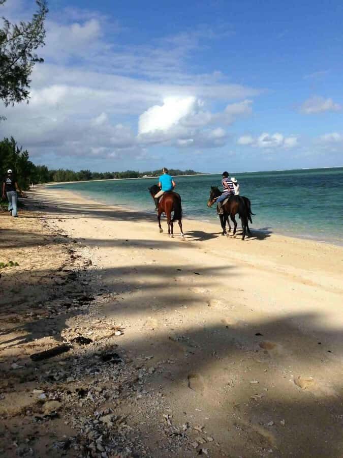 Mauritius: Horse riding on the deserted beach of Riambel - The 30-Minute Start: Stables, Checks, and Getting Matched