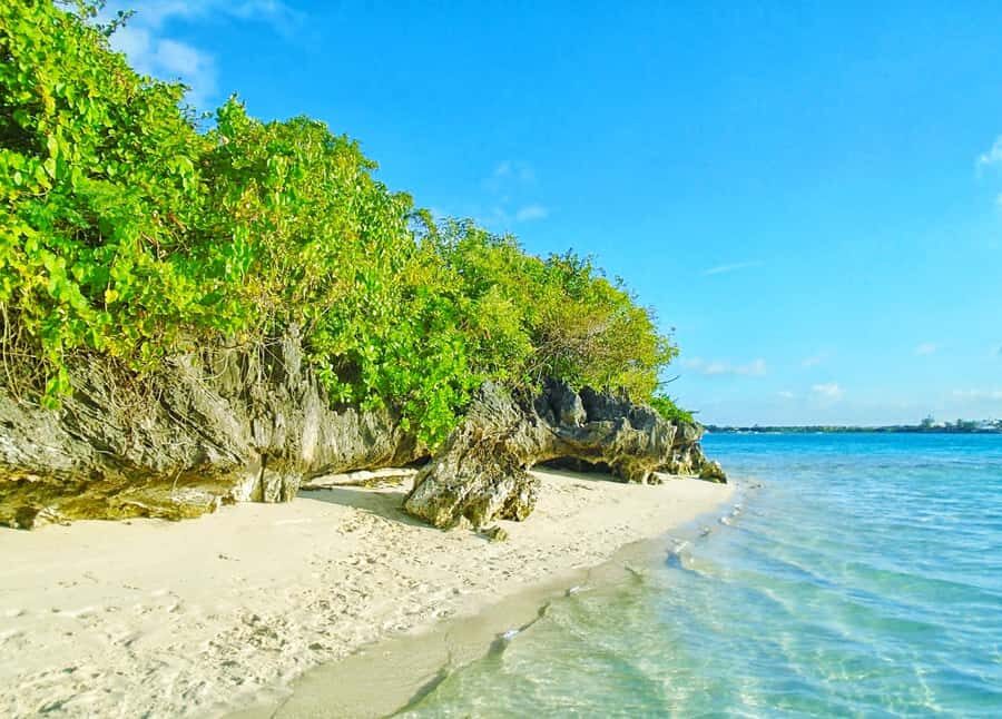 Mauritius: Ile aux Aigrettes Nature Reserve with Boat Ride - The Southeast Drive + Private Pickup That Sets the Tone