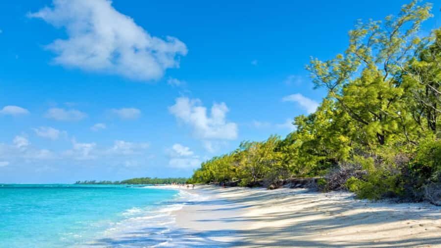 Mauritius: Ile aux Cerf Catamaran w/Waterfall Visit & Lunch - Value for Money: Is $70 Worth It?