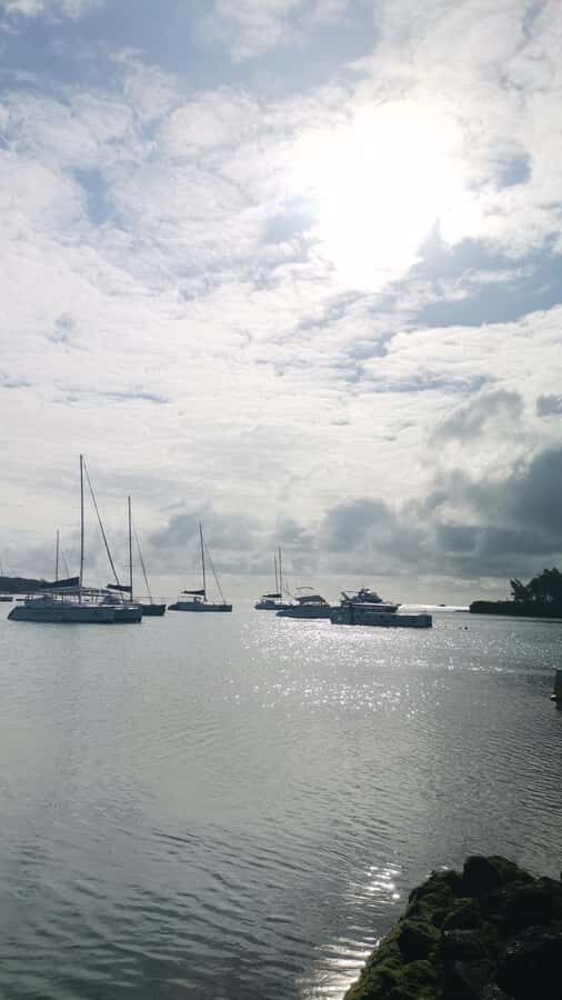 Mauritius: Ile aux cerfs, waterfalls and bbq Boat Day - Why Ile aux Cerfs and GRSE Waterfall Fit Well Together