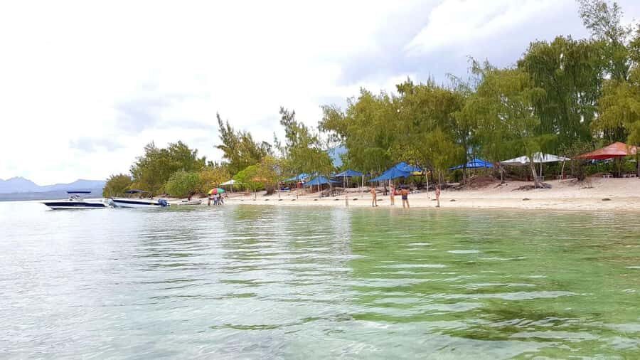 Mauritius: Ocean Swim with Dolphins - Should you book Mauritius Ocean Swim with Dolphins?