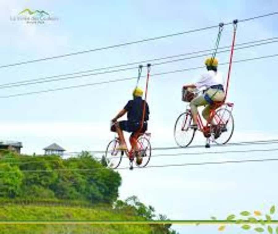 Mauritius: Private Guided South Tour with Pickup - Black River Gorges National Park: forest viewpoints that change by the day