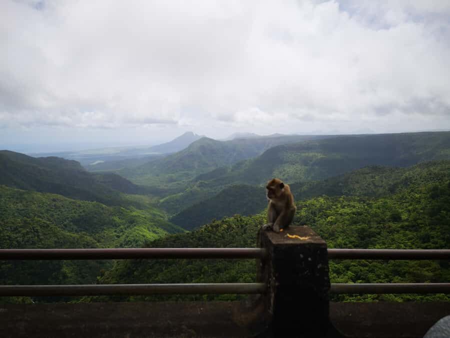 Mauritius: Private Southwest Tour with Pickup - Black River Gorges National Park: Nature Views and a Pause to Reset