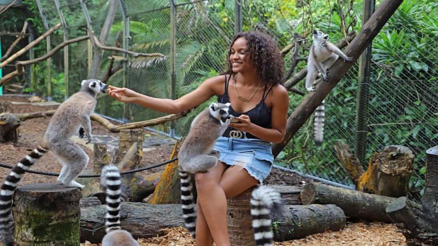 Mauritius: Southern Tour Incl. Adventure Park & Le Morne - Valles des Couleur Adventure Park: Quad Biking, Ziplining, and the Nepalese Bridge
