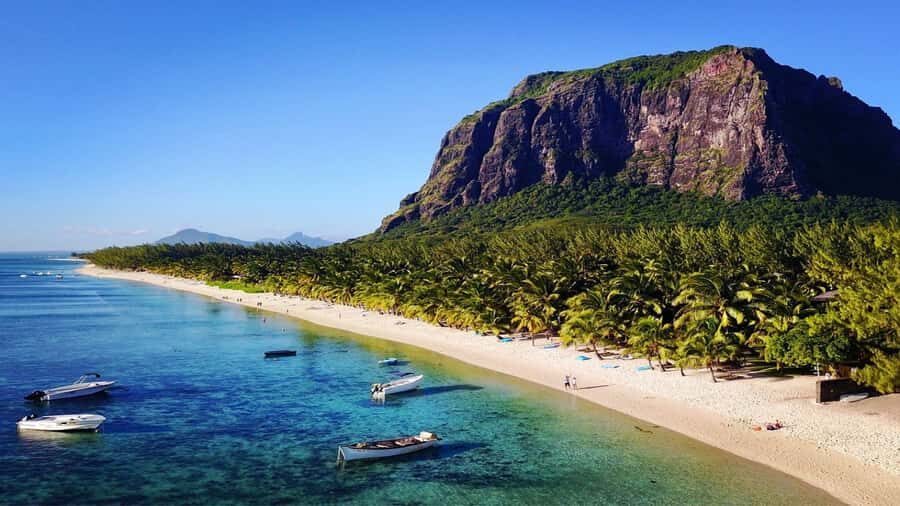 Mauritius: Southern Tour Incl. Adventure Park & Le Morne - La Vanille Nature Park: Crocodiles, Tenrecs, Eels, Iguanas, and Giant Tortoises