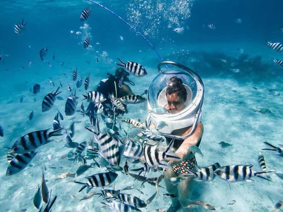 Mauritius: Watersport Adventure Day with Lunch and Pickup - Parasailing over Mauritius: quick takeoff, harness fit, and steering signals