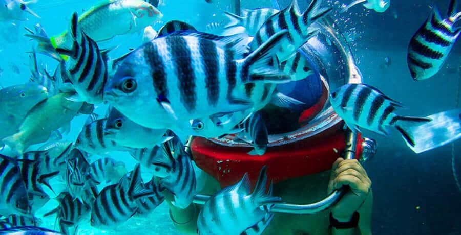 Mauritius: Watersport Adventure Day with Lunch and Pickup - Lunch that stops the day from feeling rushed