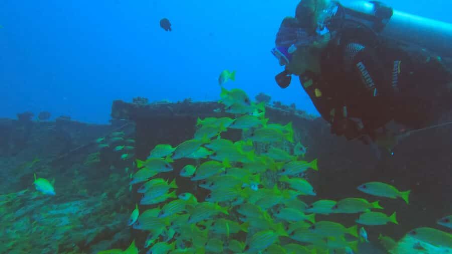 North of Mauritius: Scuba Diving Tour - Should You Book This Scuba Trip?