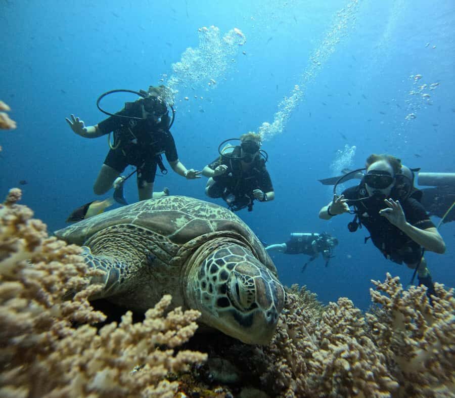 North of Mauritius: Scuba Diving Tour - The Boat Ride and the Pre-Dive Briefing That Actually Helps