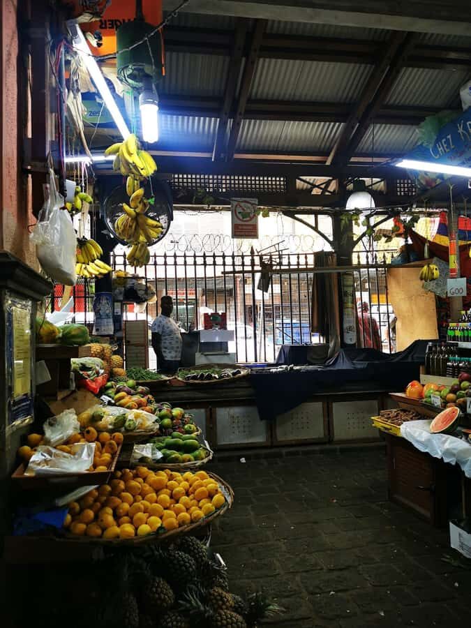 North Tour Of Mauritius With Street Food tasting - Price and Value: What $176 Gets You (and Why It’s Not Just a Tour)