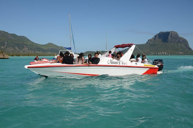 Ocean Swim with Dolphins - Dolphin spotting plus snorkelling: why this combo is the real draw