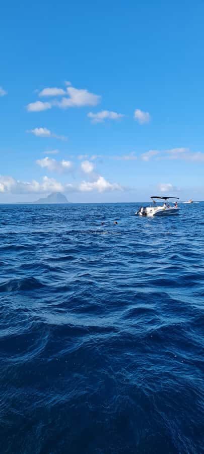 Private Dolphin Snorkeling Tour. Equipment available Free. - Free Equipment, Drinks on Board, and the Comfort Stuff That Adds Up