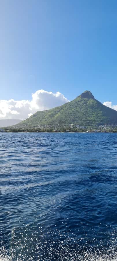 Private Dolphin Snorkeling Tour. Equipment available Free. - Price for $411 Per Group Up to 4: When This Feels Like a Smart Deal