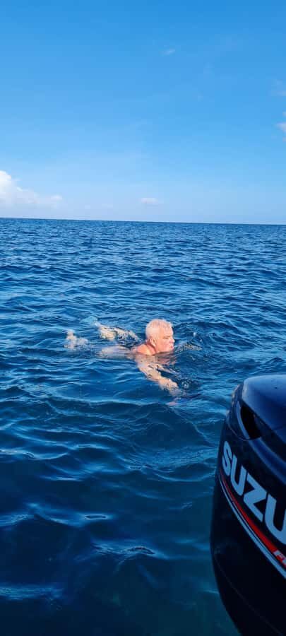 Private Dolphin Snorkeling Tour. Equipment available Free. - Who This Tour Fits Best in Mauritius (and Who Should Skip It)