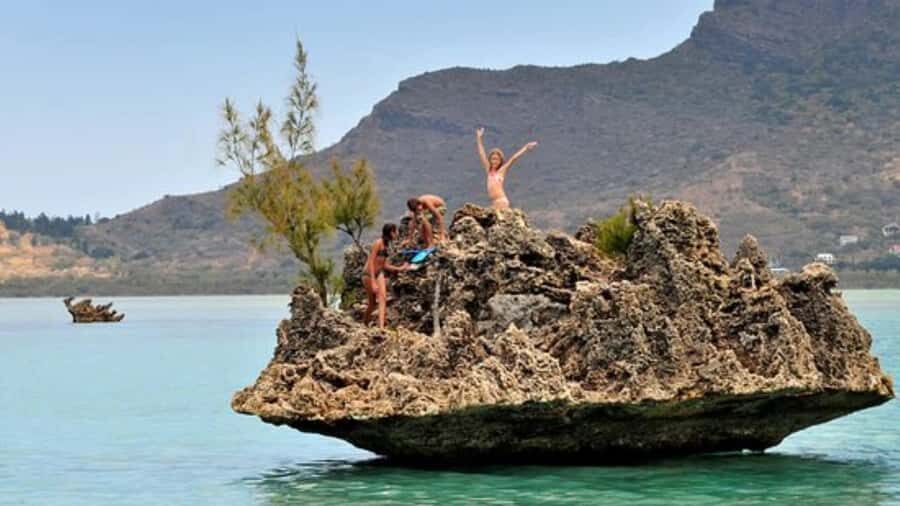 Private Dolphin Swim/Snorkeling & Lunch on Benitiers island - Key reasons this private Benitiers day works