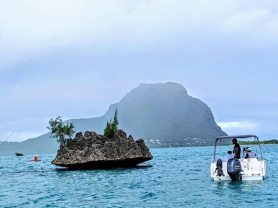 Private Dolphin Swim/Snorkeling & Lunch on Benitiers island - A private speedboat day from Tamarin to Île aux Bénitiers