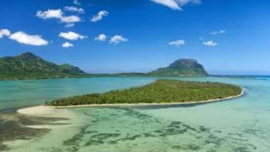 Private Dolphin Swim/Snorkeling & Lunch on Benitiers island - Price and value: $1,150 per group for up to 2 people