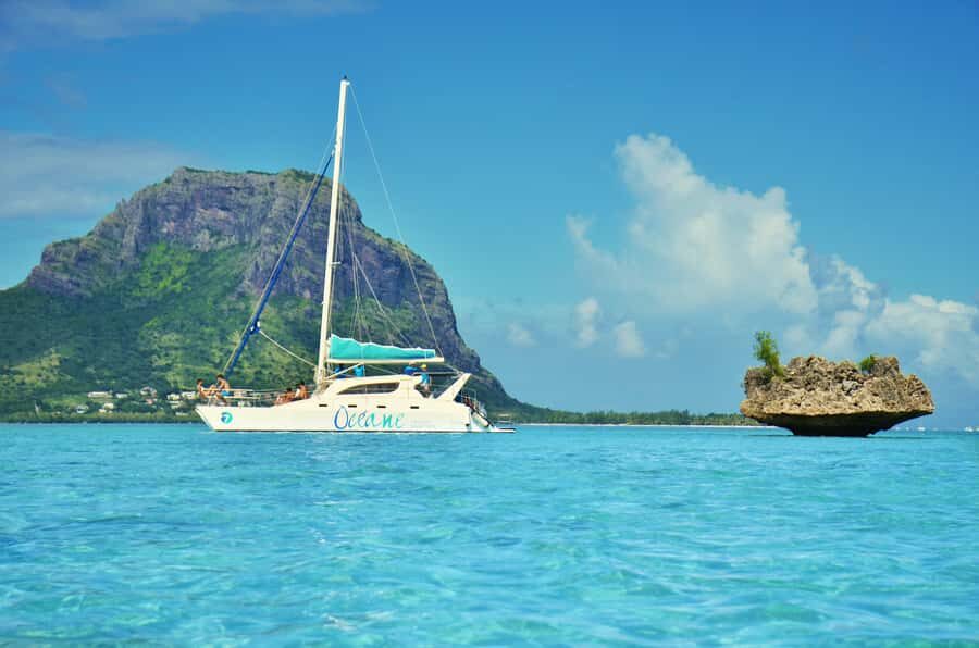 Private Dolphin Swim/Snorkeling & Lunch on Benitiers island - Dolphin swim in the bay of Tamarin: what private can mean in practice