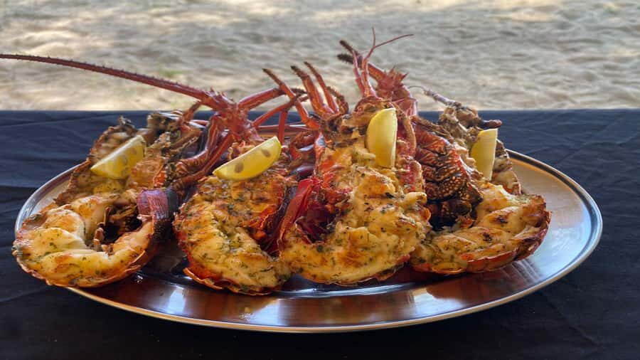 Private Île aux Bénitiers Boat: Dolphin Snorkeling & Lobster - Key things that make this tour worth your time