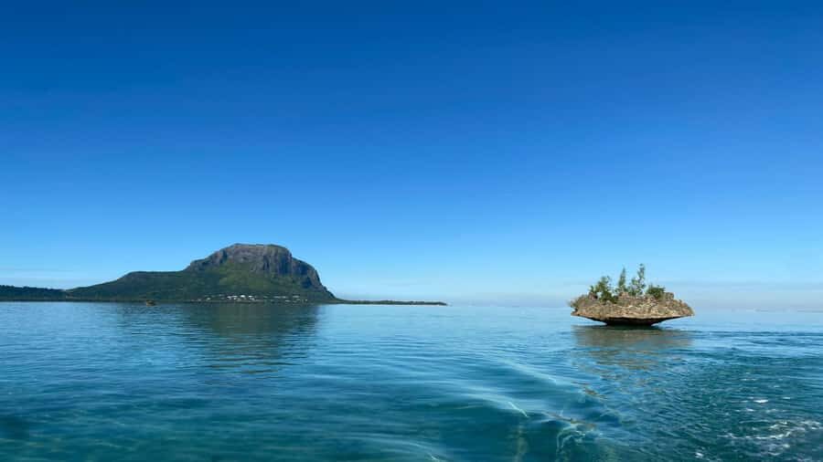 Private Île aux Bénitiers Boat: Dolphin Snorkeling & Lobster - Benitier islet: lobster BBQ lunch that actually feels like an event
