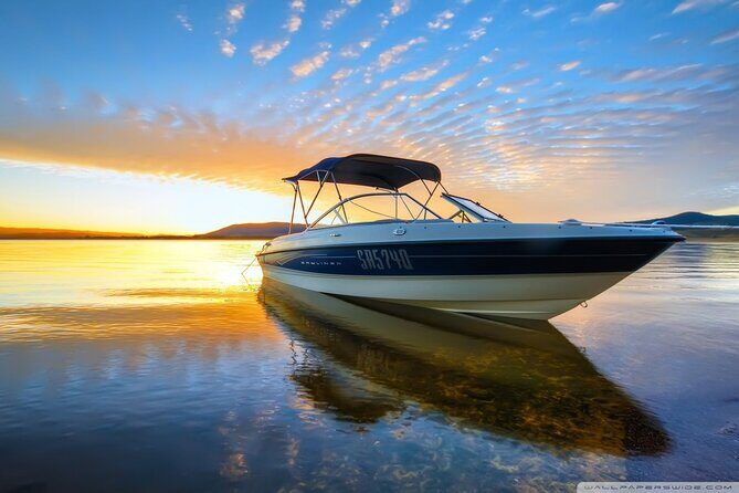 Private Speed Boat Tour and Dolphin Encounter at Ile aux Benitier - Dolphin encounter: what “private” and “rules” mean in practice