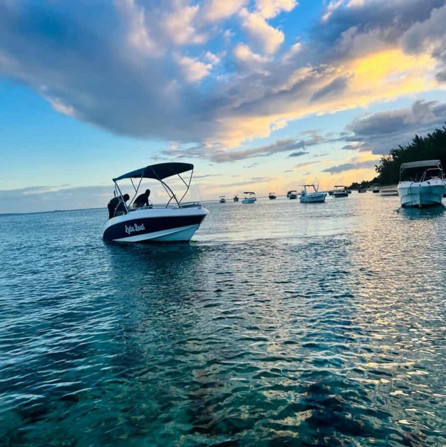 Private :Whales and dolphins watching/Swimming with dolphins - Price and value: is $816 per group up to 2 worth it?