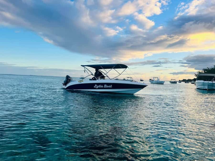 Private :Whales and dolphins watching/Swimming with dolphins - What to bring: your checklist for a smooth dolphin swim day