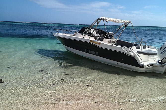 Shared 10 Pax Boat Tour: Dolphin Watching, Snorkelling and BBQ - The BBQ lunch buffet: grilled seafood-style comfort with drinks and flamed banana