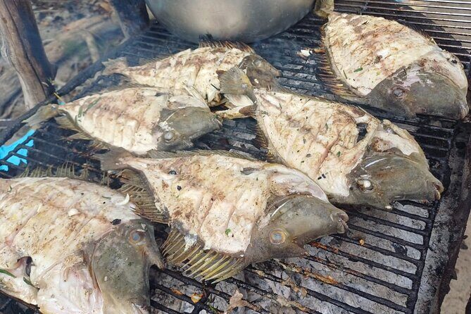 Shared 10 Pax Boat Tour: Dolphin Watching, Snorkelling and BBQ - Who should book this dolphin and snorkeling combo