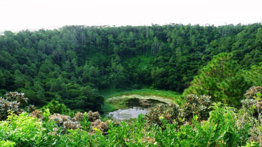 Southern Mauritius: Volcanoes & Coloured Earth - Black River Gorges National Park: short walk, big scenery, real wildlife chances