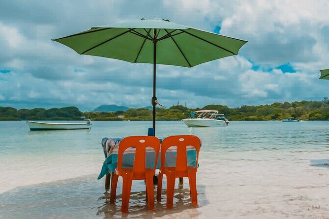 Speedboat Ile aux Cerfs + GRSE Waterfall, BBQ and Bar - Snorkeling and Marine Life: What the Route Suggests