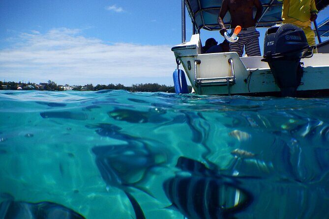 The Adventure East of Mauritius: 3-Watersport Activities & Blue-Bay Marine Park - East Coast Mauritius, But Make It Action-Packed