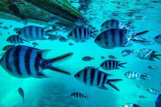 The Adventure East of Mauritius: 3-Watersport Activities & Blue-Bay Marine Park - Tube Riding at Belle Mare: Fast Fun, Many Tube Styles