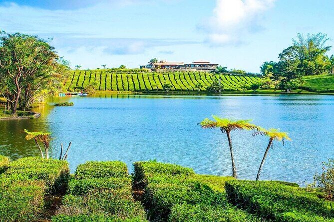 The East Discovery Tour: Bois-Cheri Tea Factory, Blue-Bay Marine Park & Lunch - Mahebourg Lunch + Naval History at the National History Museum