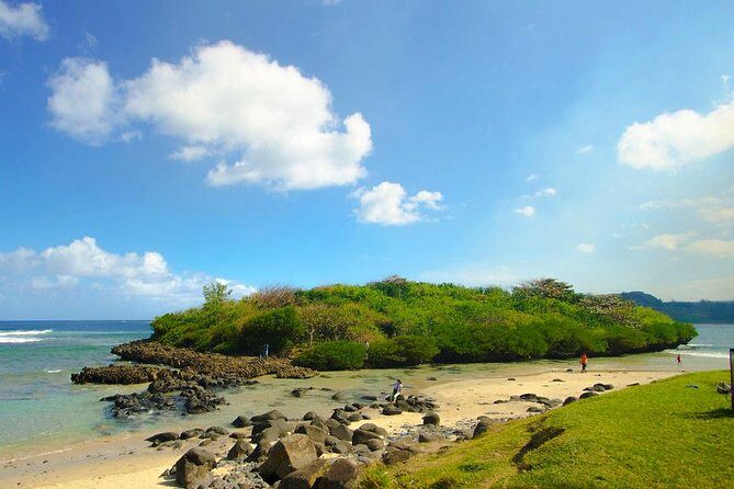 Tropical South West of Mauritius: Full-day All Inclusive tour (Visit to 3 parks) - Twenty-Three Coloured Earth and Chamouny Waterfall: surreal geology plus a rainforest waterfall