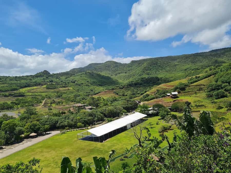 Try our Ultimate thrilling bicycle-zip-lining activity! - Bicycle Zip Line at La Vallée des Couleurs: the thrill is real, but the style is specific